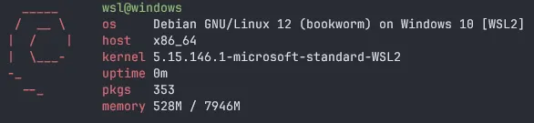 pfetch output showing Debian system information