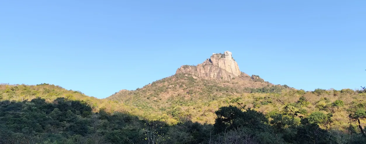 touching grass 😱🤯