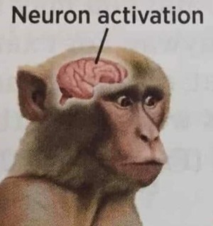 monkey-see-monkey-want